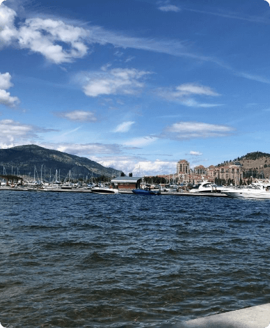 Lake view of a marina