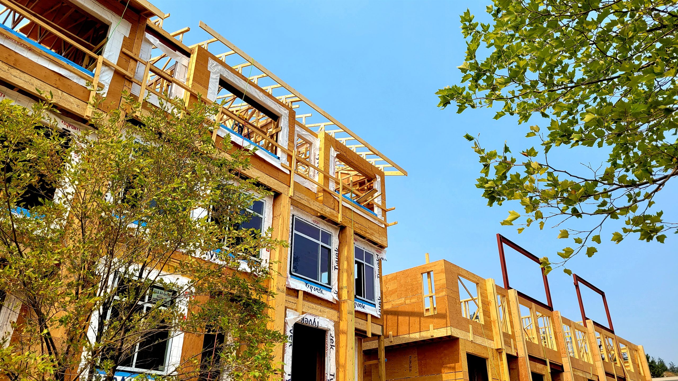 Black Mountain Real Estate, Homes for Sale and Neighbourhood Stats